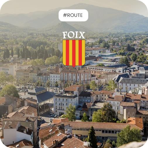 témoignage Logiroad center de Foix