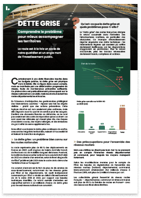 Brochure-analyse-dette-grise-logiroad